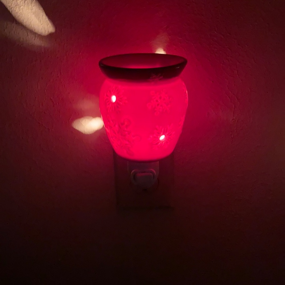 Scentsy plug in warmer